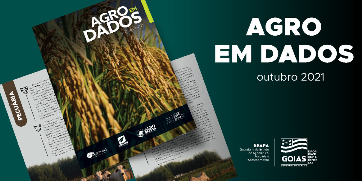 Agro em Dados de outubro destaca produção de arroz em Goiás
