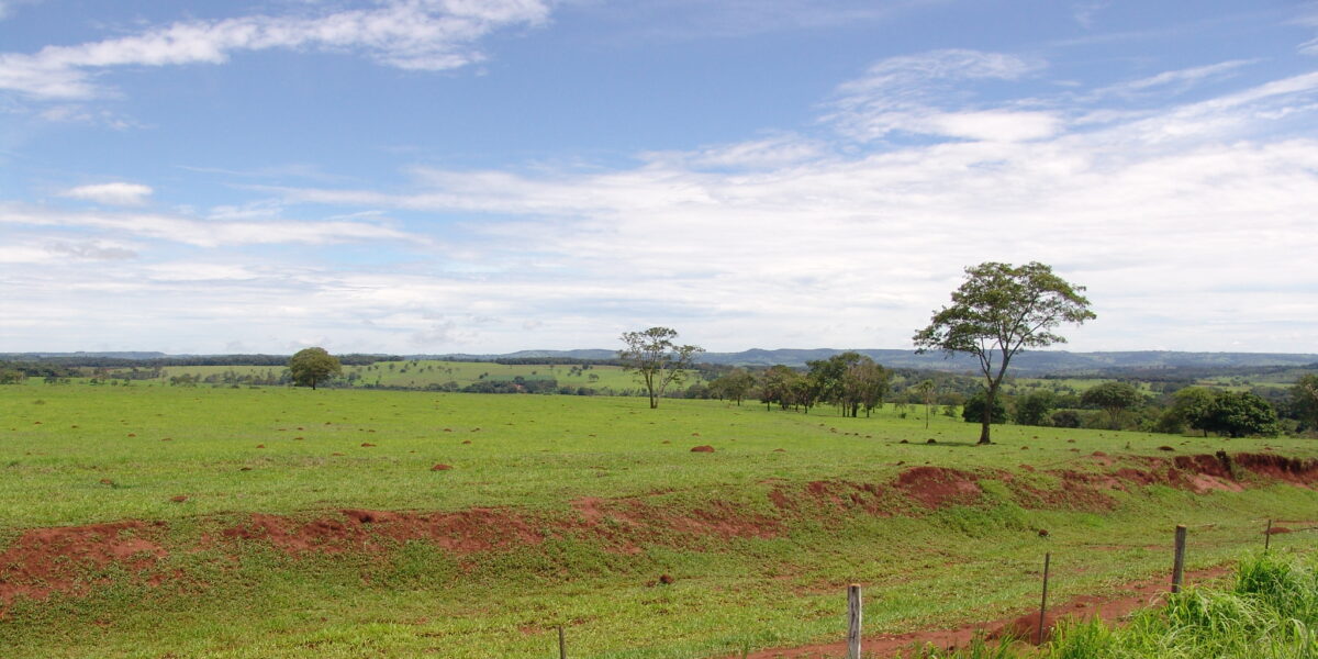 Emater e ABCZ firmam parceria em programa de recuperação de pastagens