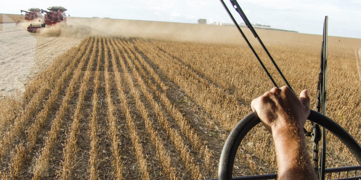 Setor agropecuário goiano criou mais de 9 mil empregos formais no acumulado de 2021