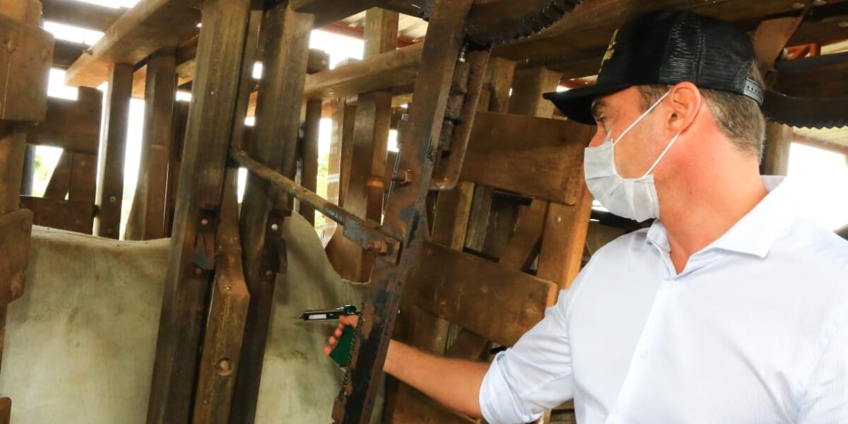 Segunda etapa de vacinação contra febre aftosa e raiva herbívora começa na próxima segunda-feira (1º)