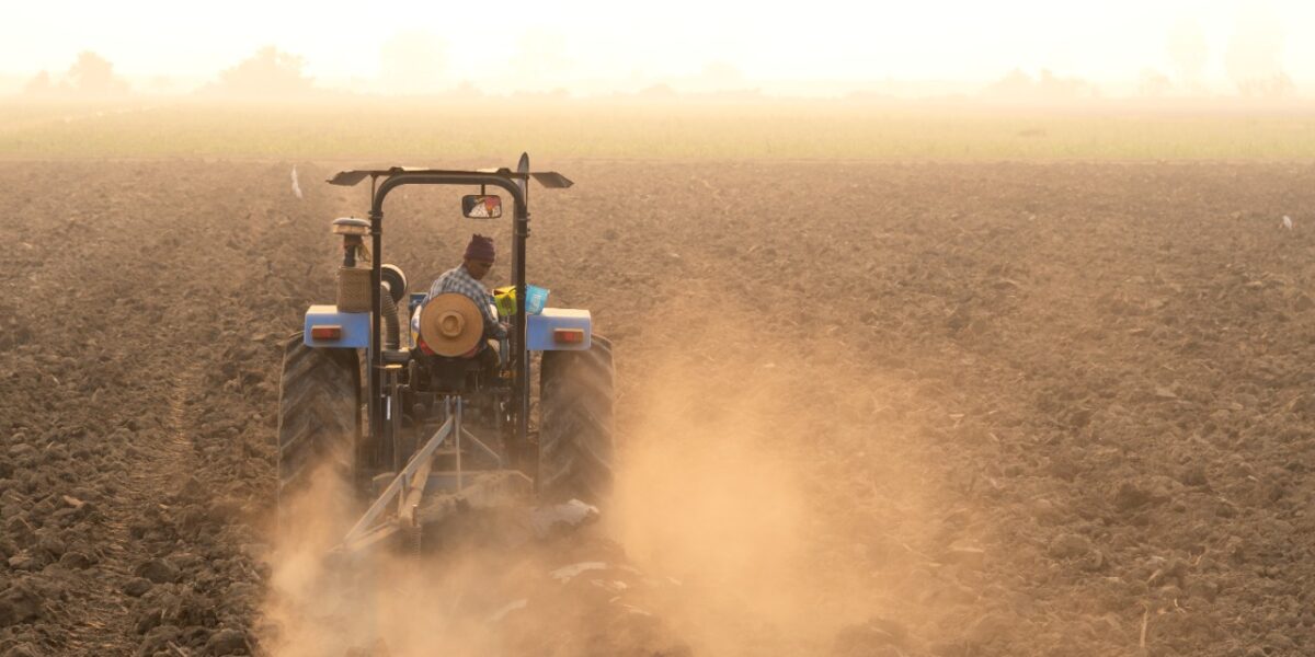 Agropecuária goiana registra criação de 9,1 mil postos formais de trabalho nos oito primeiros meses de 2021