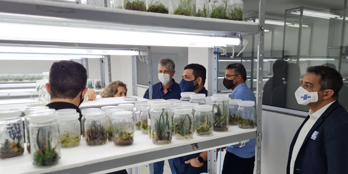 Representantes da Emater e Sebrae do Acre visitam Goiás para conhecer assistência técnica, extensionismo e pesquisa rural desenvolvidos no Estado