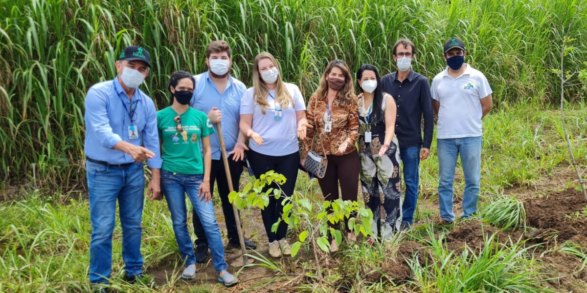 Abertura da Virada Ambiental promove plantio de 1.200 mudas de árvores nativas do Cerrado