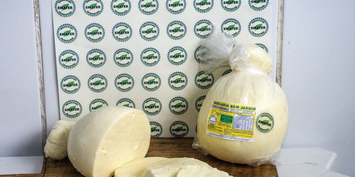 Trabalho da Emater pela Indicação Geográfica do queijo cabacinha é destaque no Agro Sucesso