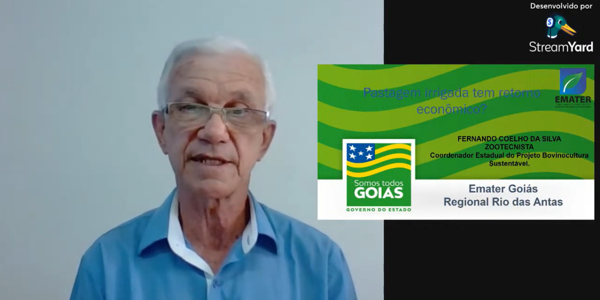 Profissional da Emater mostra como pastejo irrigado aumenta lucratividade na pecuária leiteira