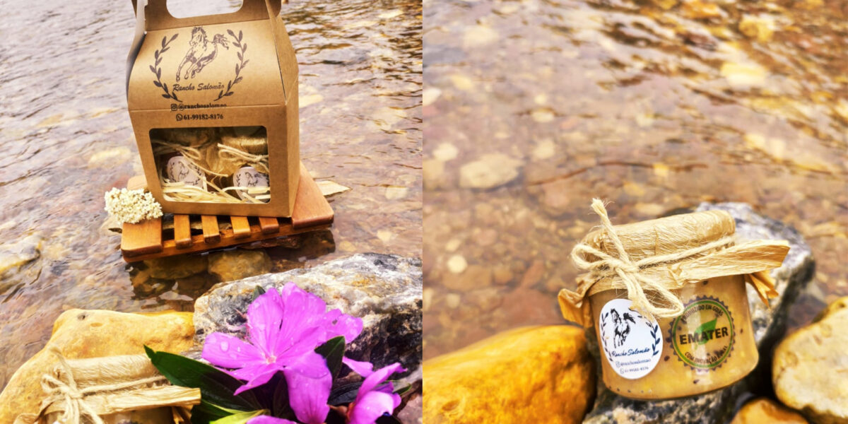 Agricultores familiares assistidos pela Emater conquistam mercado com agroindústria de geleias