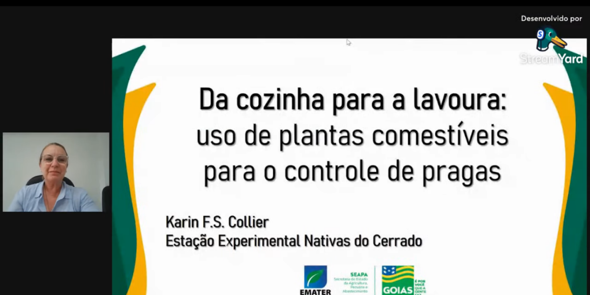 Pesquisadora da Emater explica como plantas comestíveis podem ser utilizadas no manejo de pragas