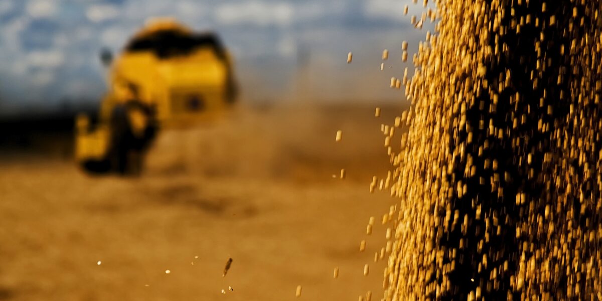 Em outubro, agronegócio respondeu por 62,5% das exportações goianas