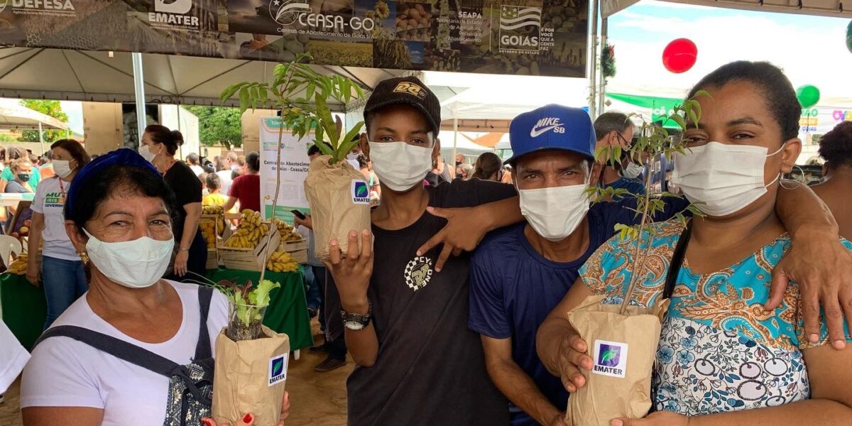 Estande do Agro entrega 700 mudas de árvores nativas do Cerrado no Mutirão Iris Rezende