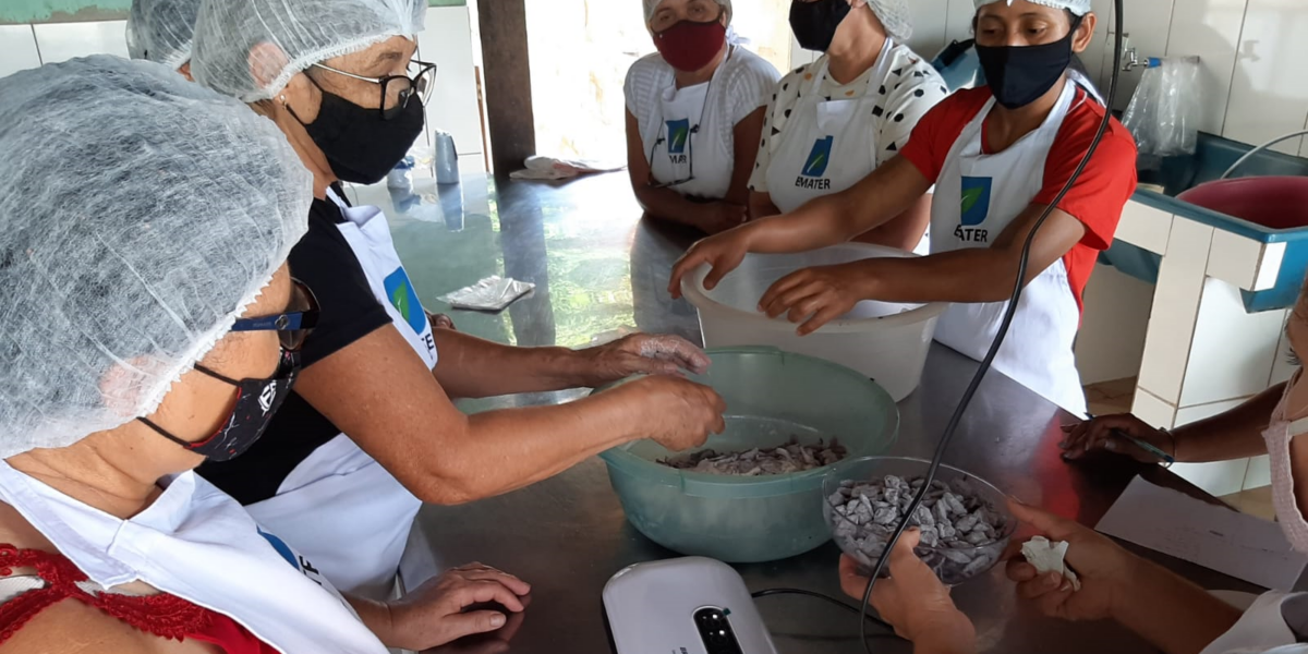 Processamento de jabuticaba se torna alternativa para aumentar renda de produtores de Hidrolândia