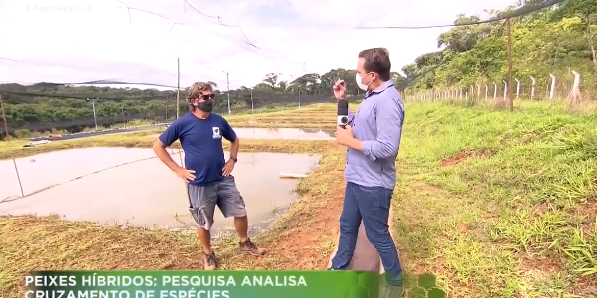 Agro Record destaca pesquisa da Emater com criação de peixes híbridos