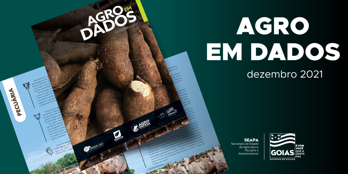Em Goiás, área plantada de mandioca deve registrar crescimento de 15% em 2021