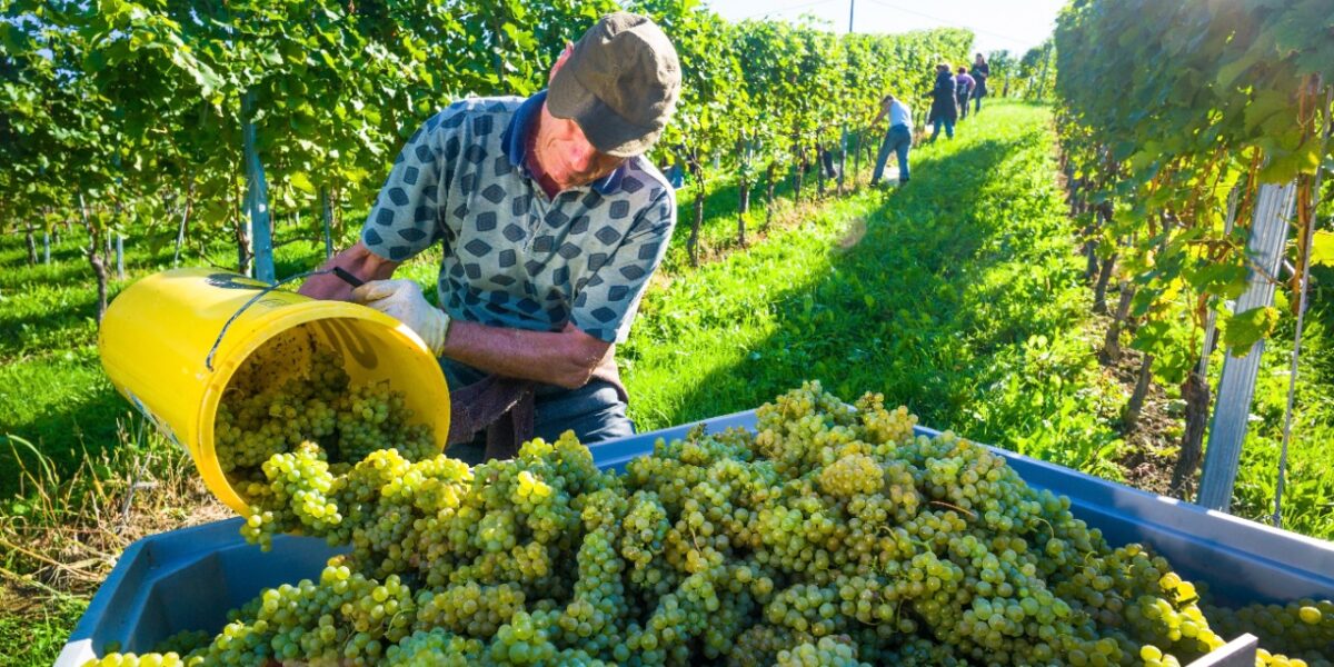 GoiásFomento promove eventos do Capacita Agro Crédito Rural em municípios do Nordeste Goiano