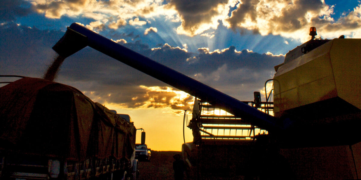 Conselho de Desenvolvimento do Estado aprova R$ 42,9 milhões em financiamentos do FCO Rural