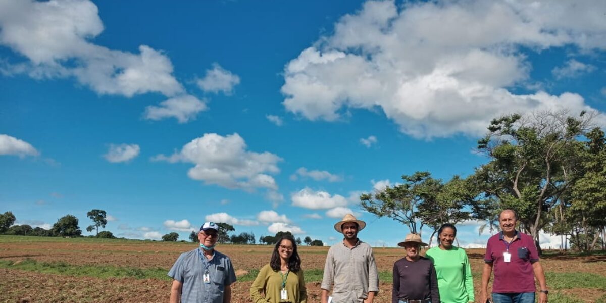 Programa Integra Zebu inicia implementação de Unidades Demonstrativas de recuperação de pastagens