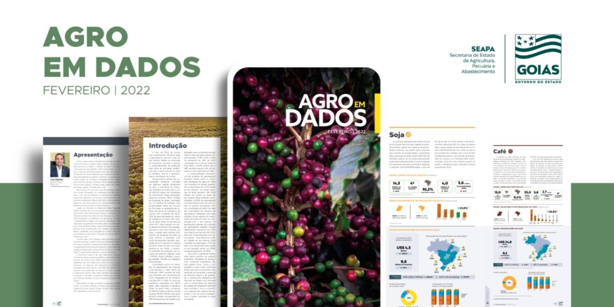 Produção de café deve aumentar 6,7% na safra 2021/2022, em Goiás
