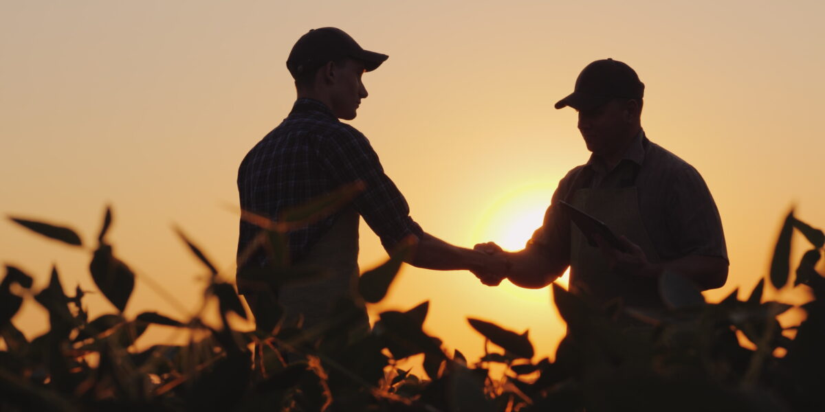 Agropecuária goiana cria 6,4 mil vagas formais de trabalho em 2021