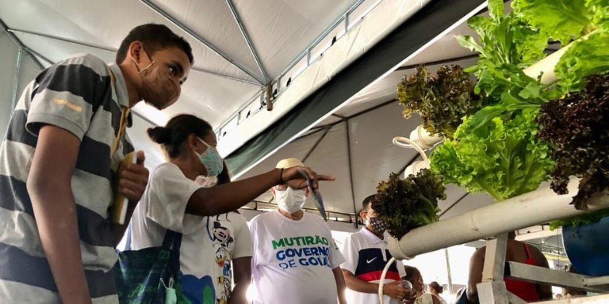 Estande do agro leva serviços para população na 3ª edição do Mutirão do Governo de Goiás