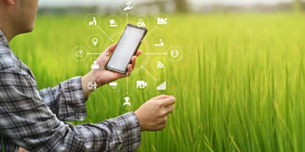 Nota Fiscal Fácil: Produtores rurais de Goiás já podem emitir documento por aplicativo no celular