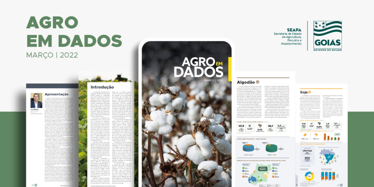 Goiás deve registrar aumento de 16,5% na produção de algodão na safra 2021/2022