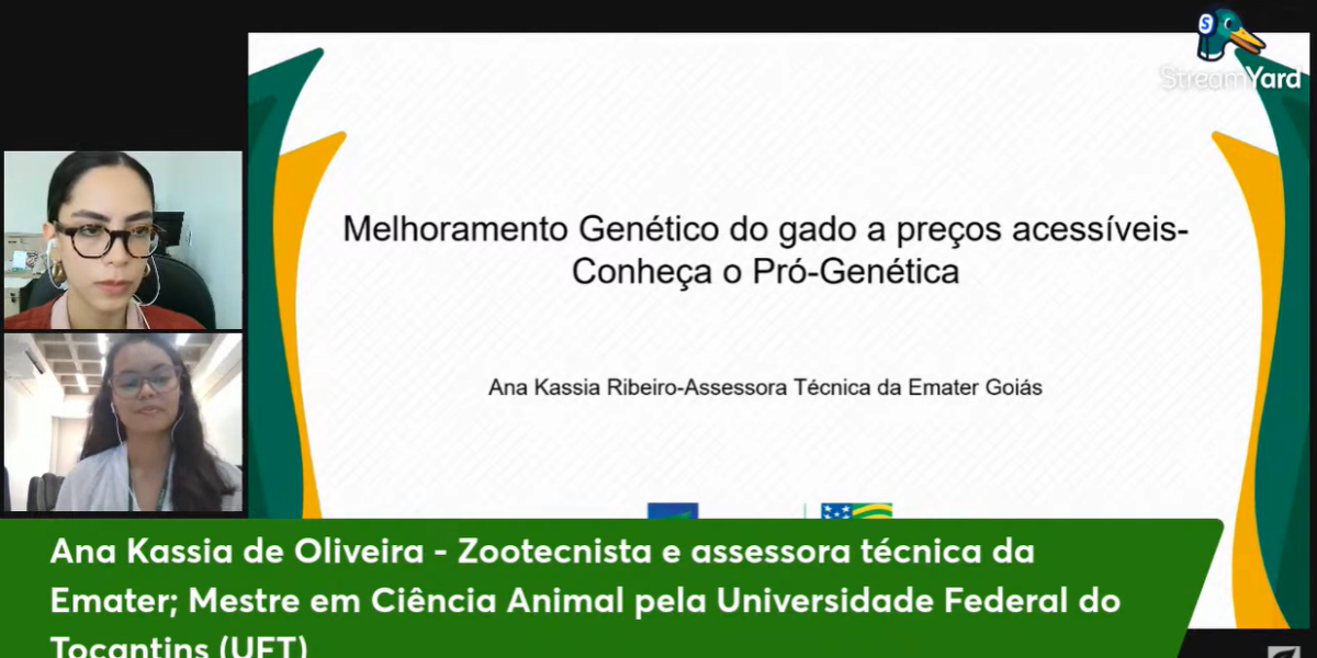 4,9 mil bezerros devem ser produzidos por ano com vendas de touros PO pelo Pró-Genética em Goiás