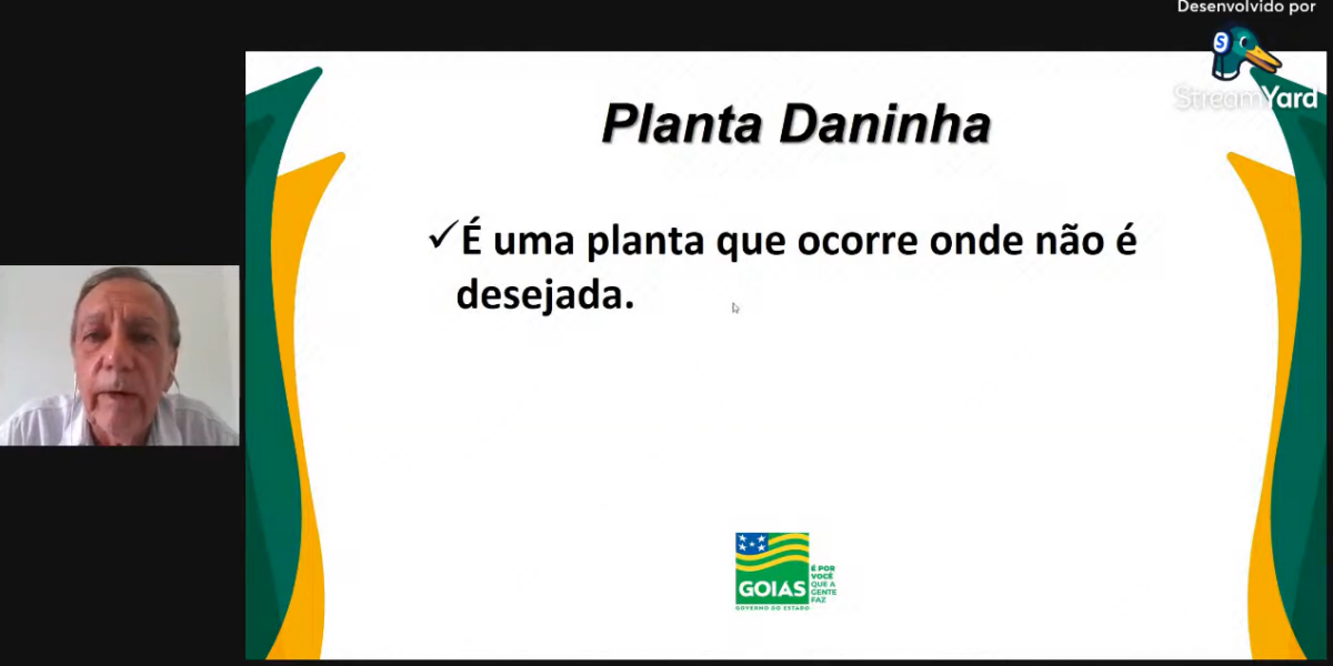 Rotação de culturas e herbicidas é alternativa eficaz para combater plantas daninhas na cultura da soja, afirma pesquisador da Emater