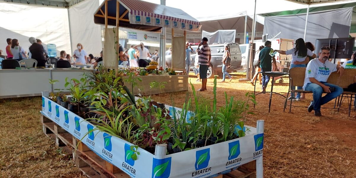 No Mutirão Governo de Goiás, Estande do Agro oferecerá orientações e  oficinas à população de Valparaíso, Novo Gama e Cidade Ocidental