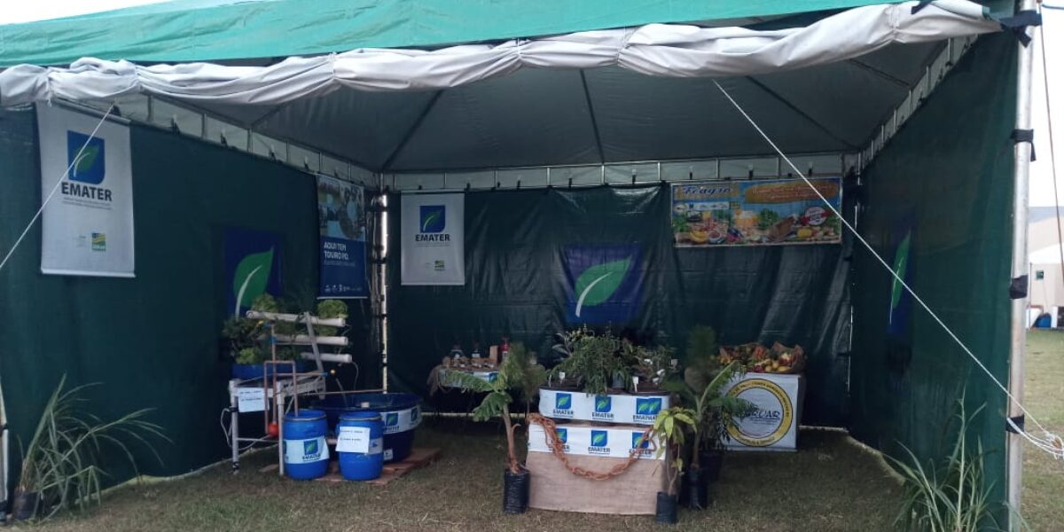 Governo de Goiás participa da Expoana 2022 com orientações e palestras para produtores rurais