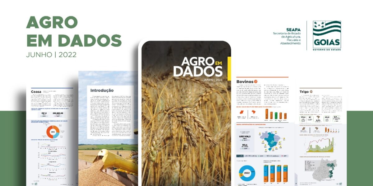 Agro em Dados aponta crescimento de 35,7% na produção goiana de trigo em 2022