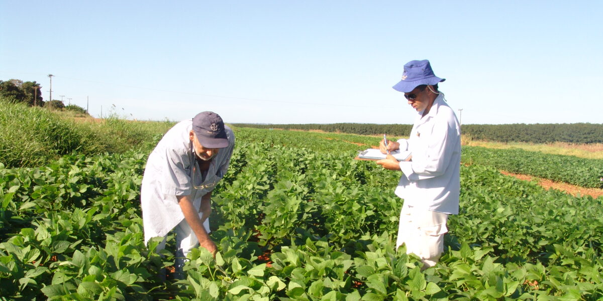 Curso sobre controle sustentável de pragas é realizado na Emater