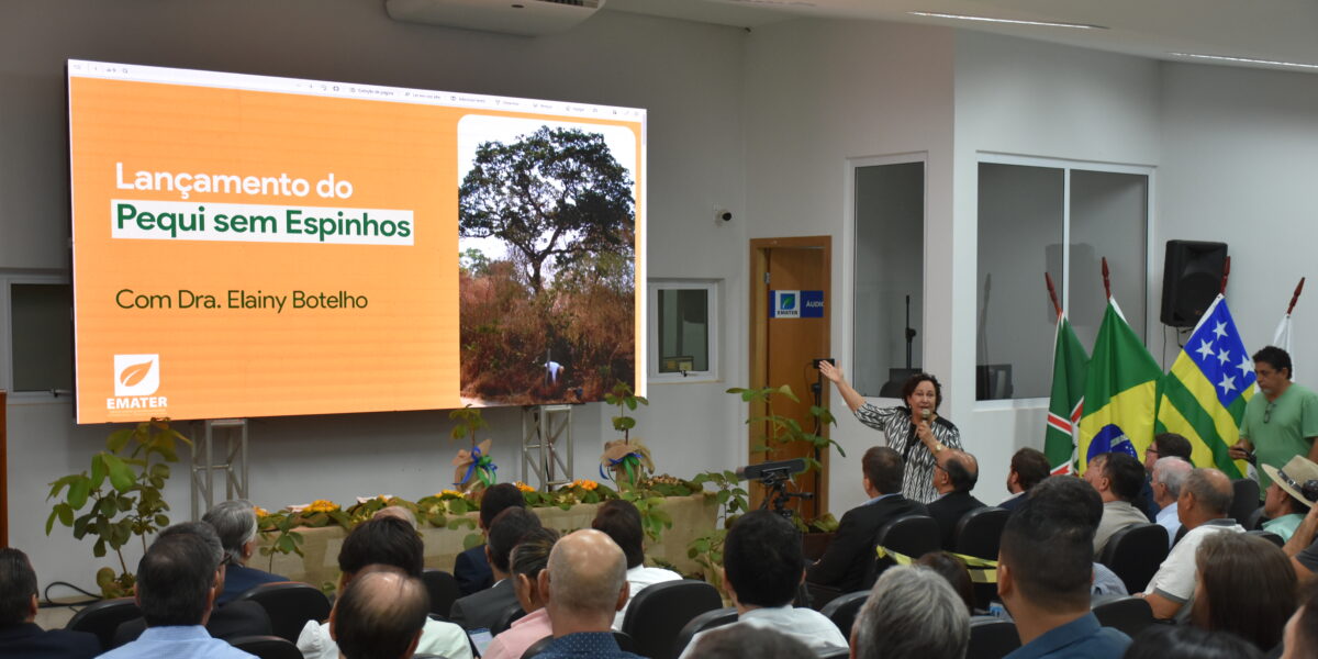 Emater e Embrapa Cerrados lançam pequi sem espinhos