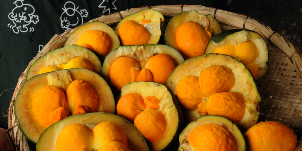 Ceasa/GO promove segunda edição de Festa do Pequi nesta terça-feira (29/11)