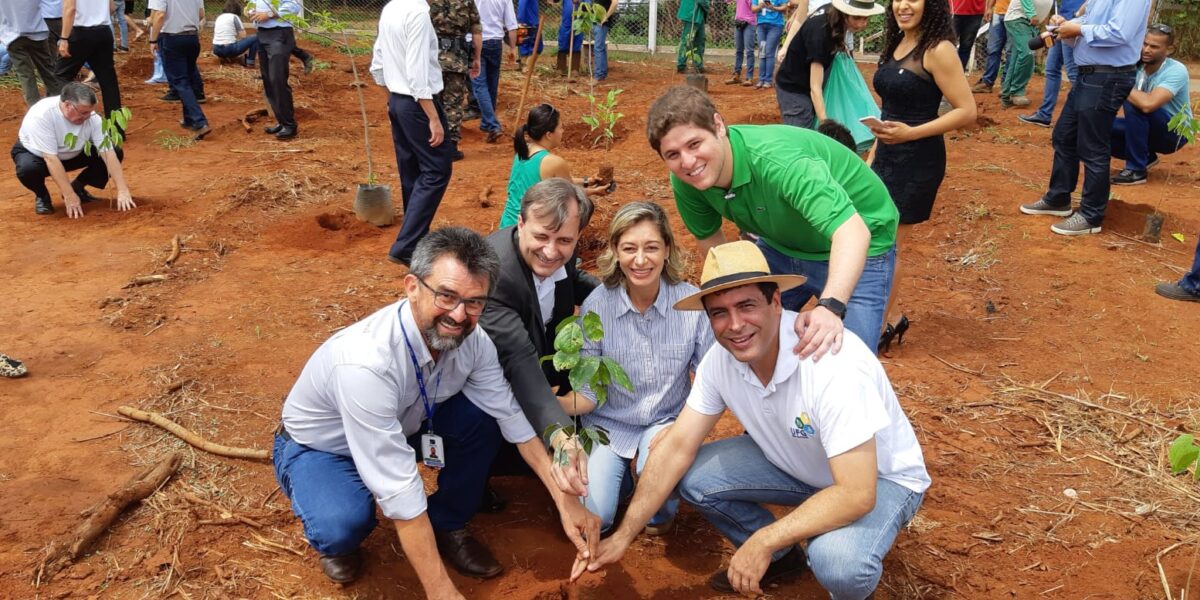Virada Ambiental promove ações em cerca de 200 municípios goianos
