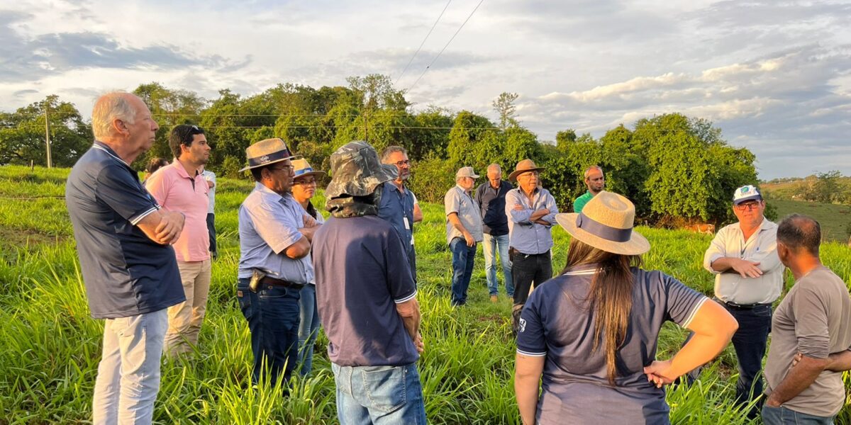 Emater promove Seminário de Bovinocultura Sustentável para técnicos