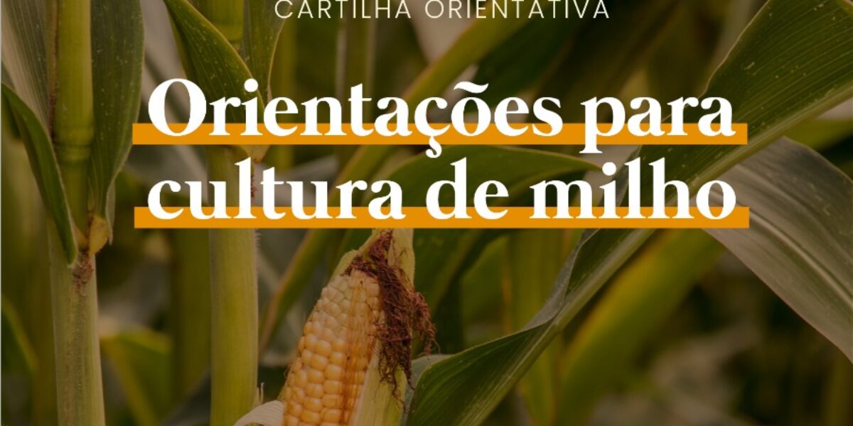 Orientações para cultura de milho