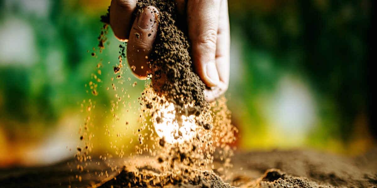Pioneiro no tema entre os Estados, Goiás é reconhecido como Polo dos Bioinsumos na Rota da Biodiversidade do Ministério do Desenvolvimento Regional