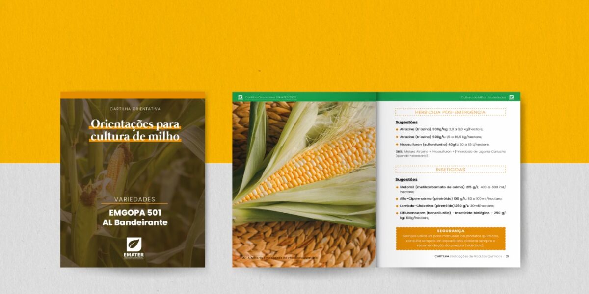 Emater disponibiliza cartilha orientativa para cultivo de milho Emgopa 501 e AL Bandeirante
