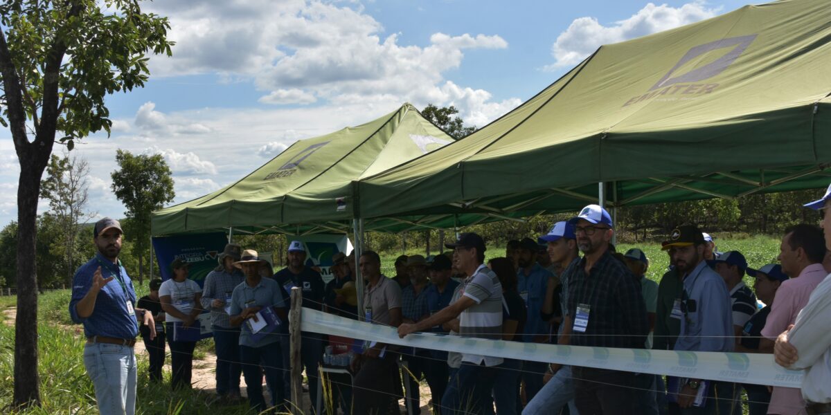 Integra Zebu fará demonstrações de IPF na Unidade de Referência Tecnológica de Araçu