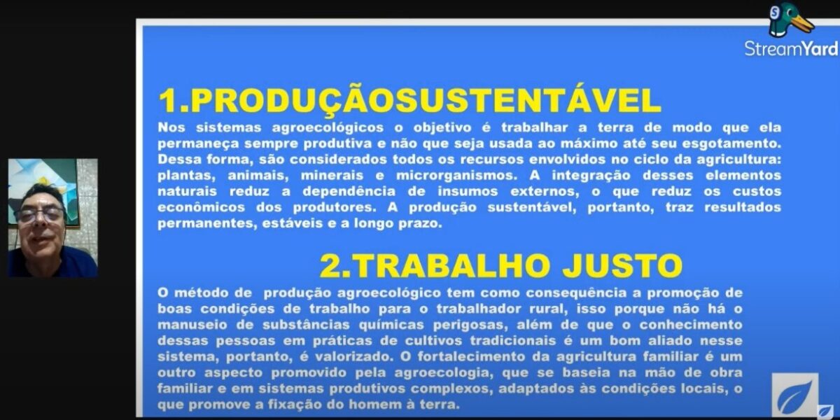 Agroecologia garante sustentabilidade da produção e é uma opção para cultivo diverso em uma mesma área