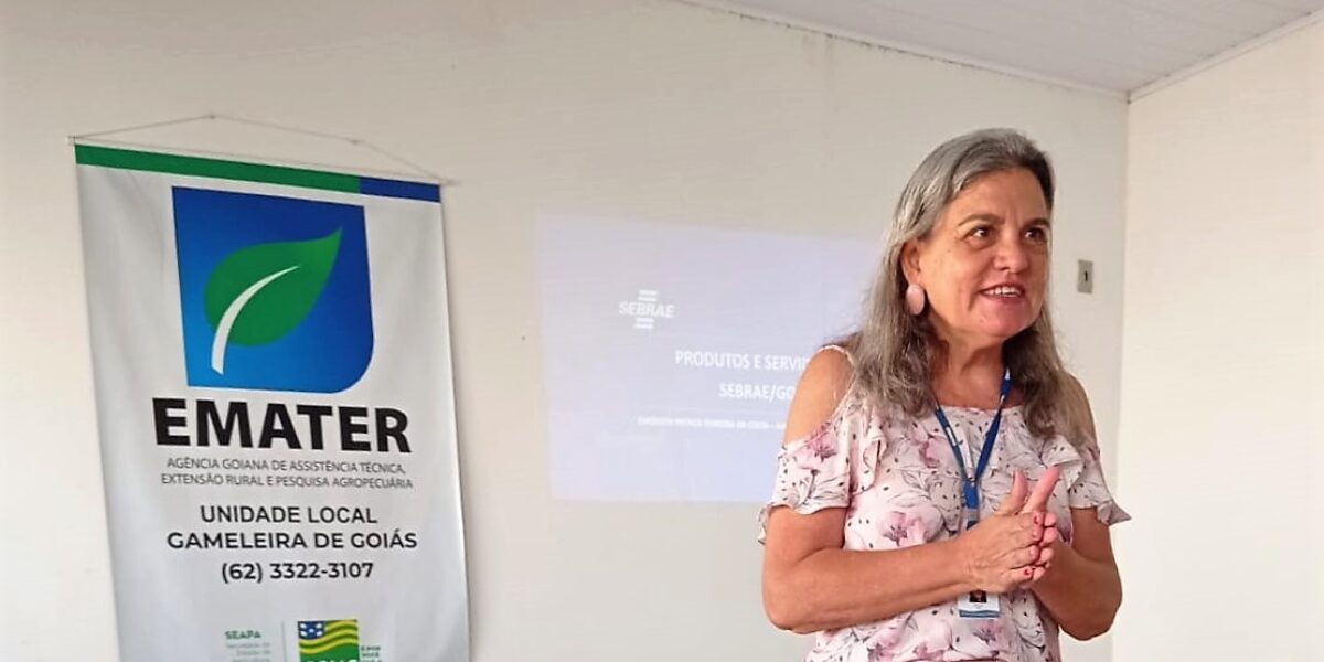 Emater e parceiros discutem agregação de valor na produção local