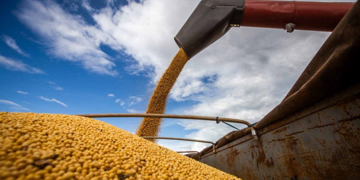 Exportações do agronegócio goiano crescem 62,8% em 2022