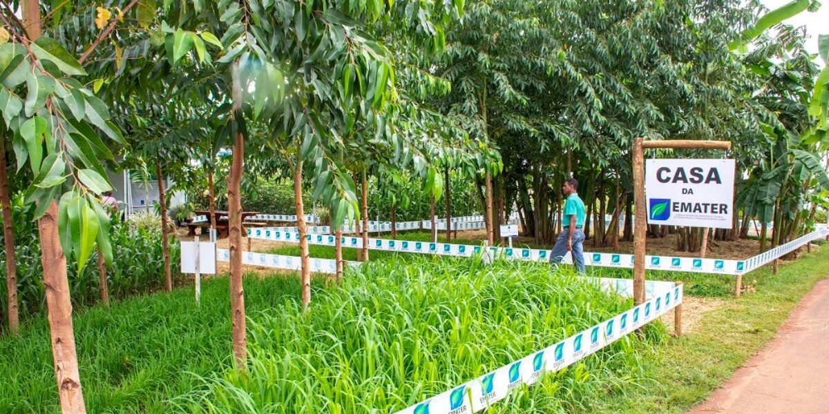 Pelo 20º ano, Emater leva tecnologia e informações agropecuárias à Tecnoshow Comigo