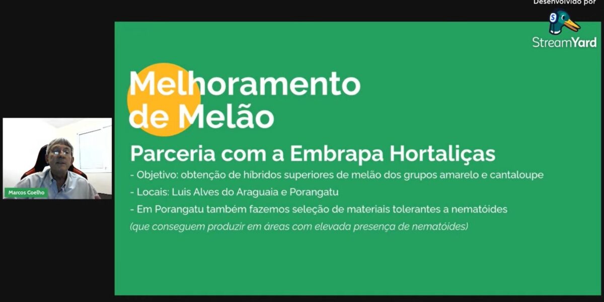 Pesquisa da Emater e da Embrapa Hortaliças seleciona variedades de melão para serem lançadas comercialmente