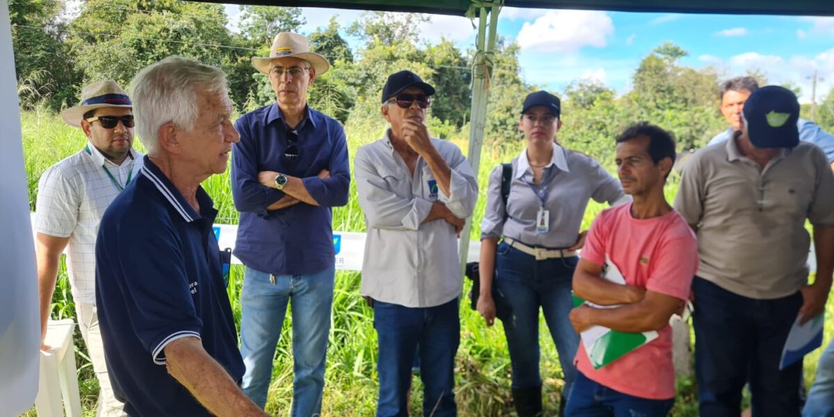 Emater promove Dia de Campo sobre o Projeto Bovinocultura Sustentável
