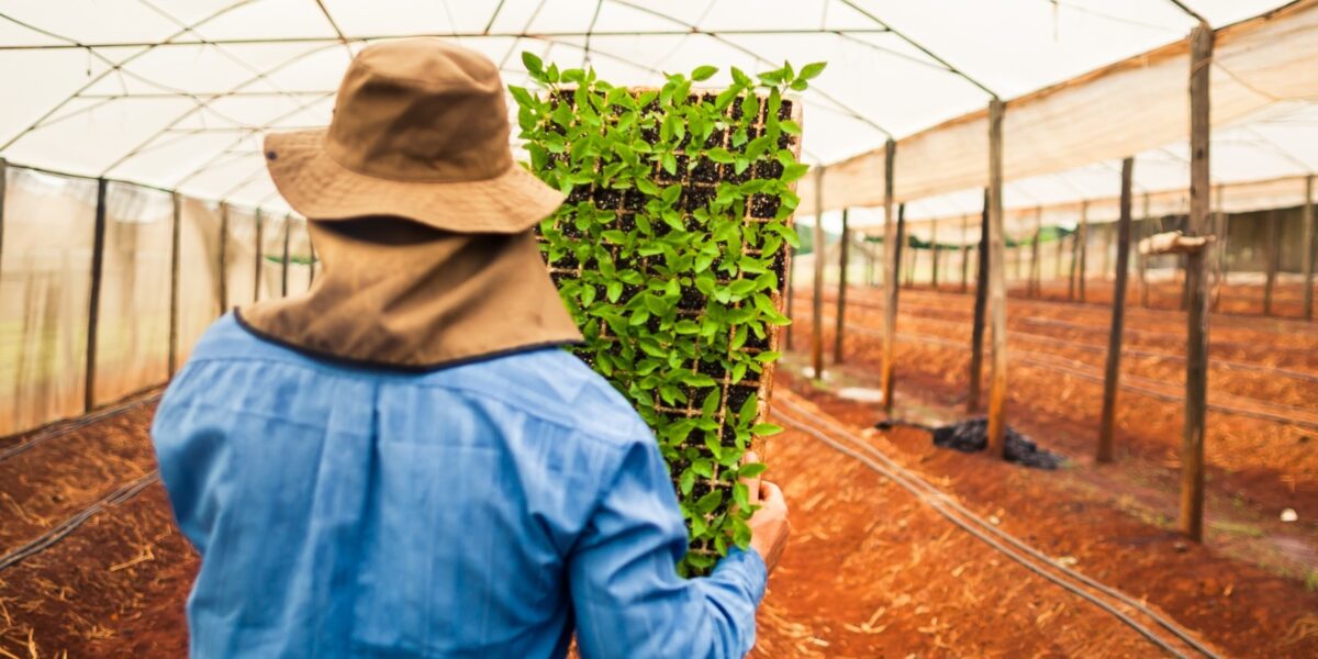 Goiás é líder no Centro-Oeste e segundo no Brasil na geração de empregos no agro