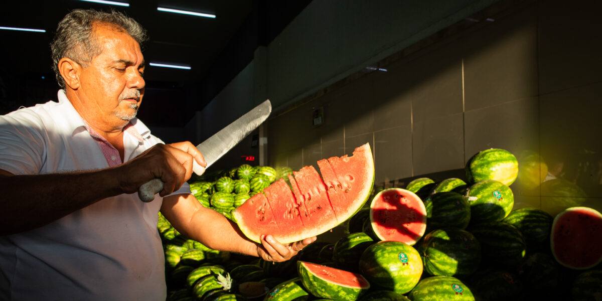 Cadastramento do PAA Estadual está disponível nas Unidades Locais da Emater