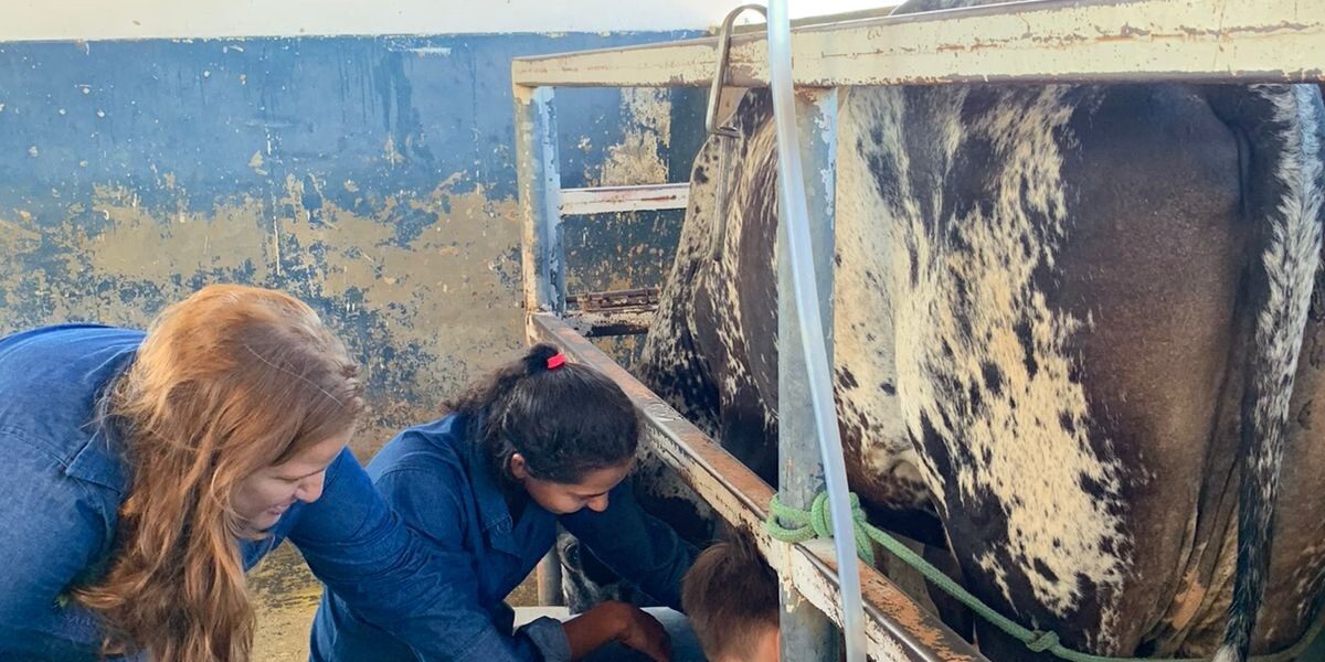 Emater promove Dia de Campo Sensorial para crianças em Jussara