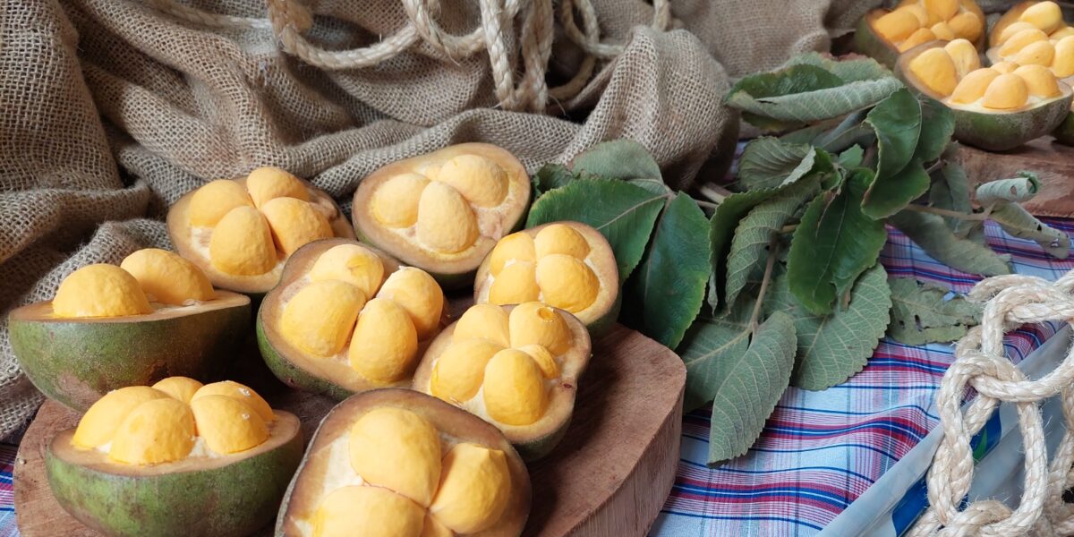 Governo de Goiás expõe pequi sem espinhos em festival gastronômico focado no fruto do Cerrado