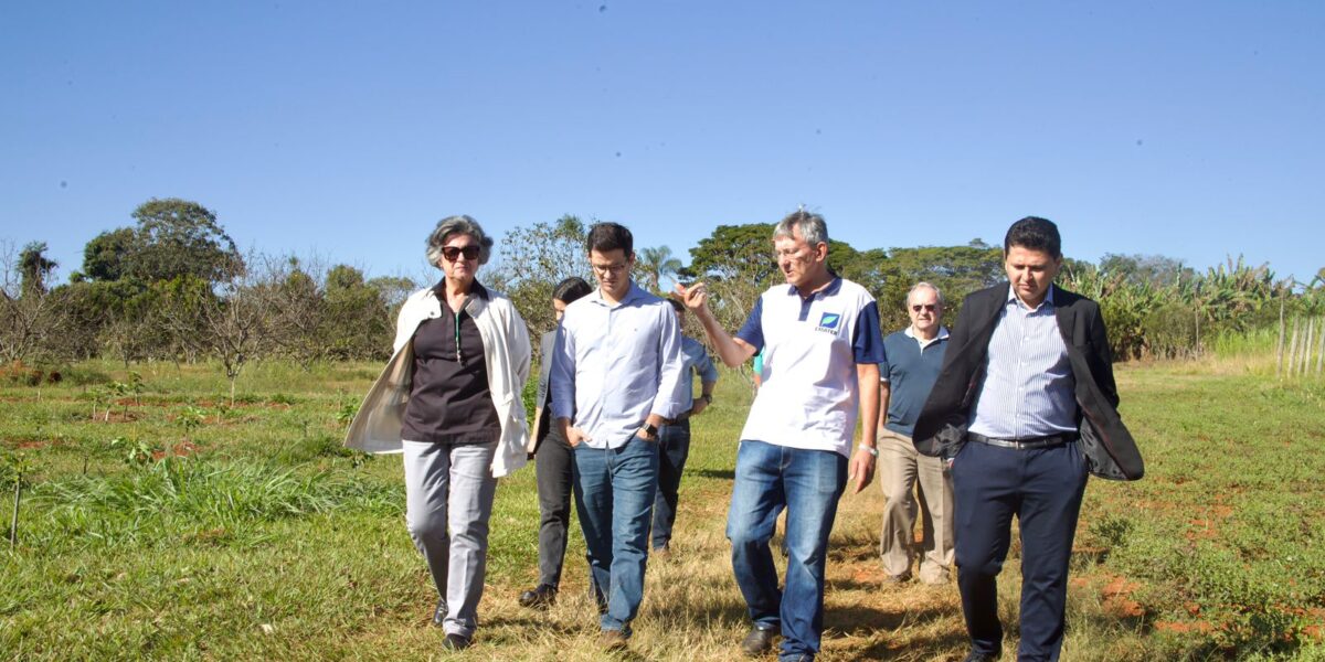 Presidente da Emater visita Estação Experimental da Agência em Anápolis