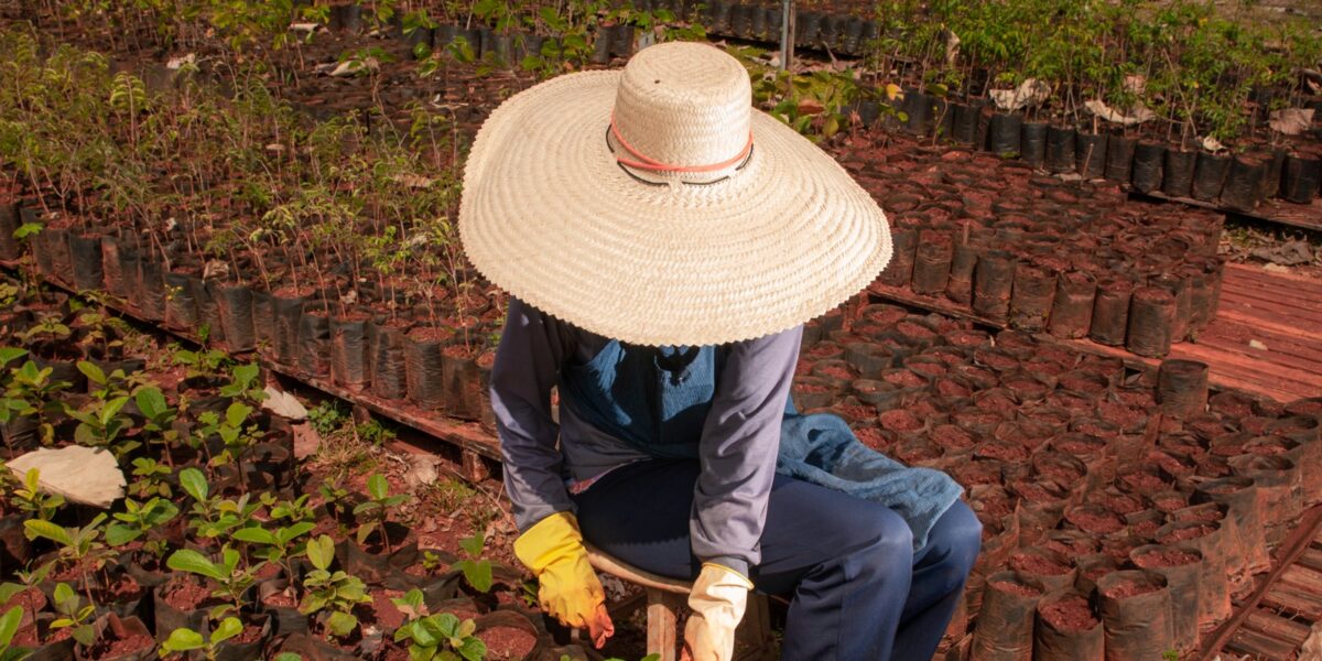 Formosa lidera criação de empregos no agro entre municípios brasileiros no mês de abril